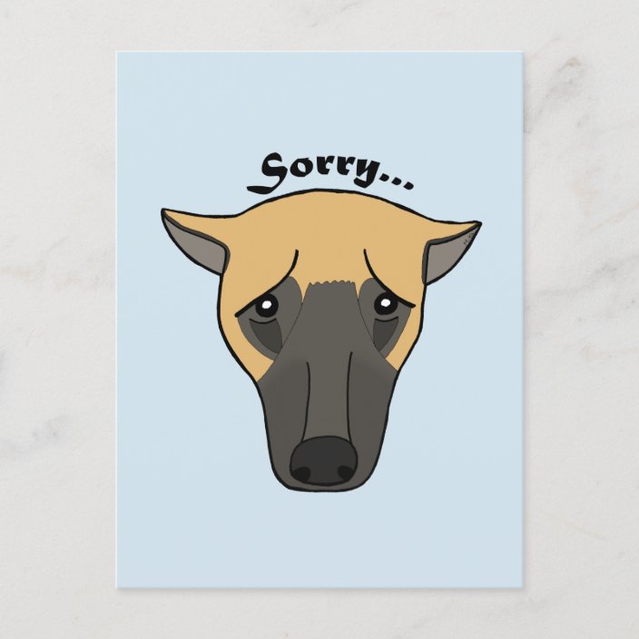 Sorry Card I'm sorry postcard Cute Funny Dog sorry