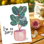 Sorry Condolences Calathea Prayer Plant Watercolor Postcard<br><div class="desc">Check out this colorful watercolor calathea plant. You can keep the text or delete and add your own!
 
 Visit my shop for more!</div>
