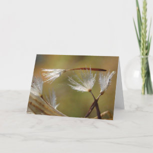 Sorry For Your Loss Dandelion With Poem Card