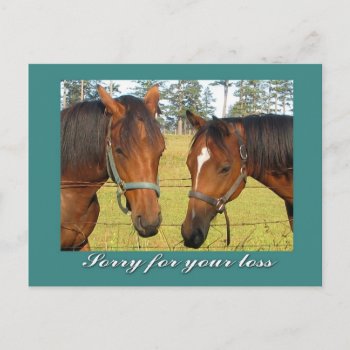 Sorry For Your Loss  Sympathy Two Sad Horses Postcard by boopboopadup at Zazzle