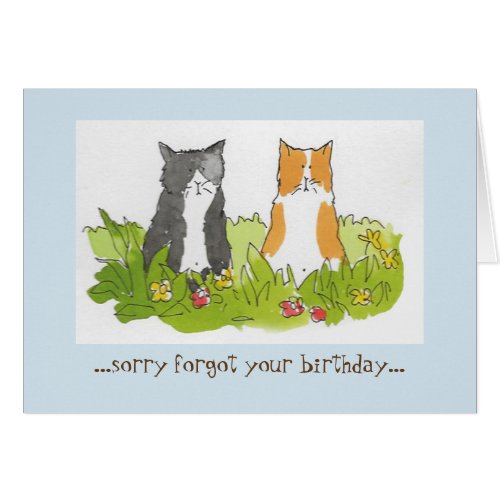 Sorry forgot your birthday cat card