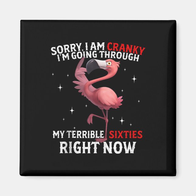 Sorry I Am Cranky I'm Going Through My Terribl Magnet (Front)
