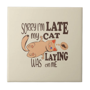 Sorry I am late my cat was laying on me Ceramic Tile