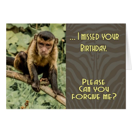 Sorry I missed your Birthday Sad Looking Capuchin Card | Zazzle