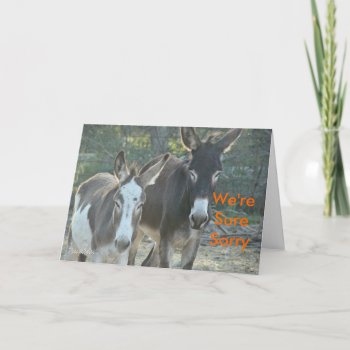 Sorry Mules-customize Card by MakaraPhotos at Zazzle