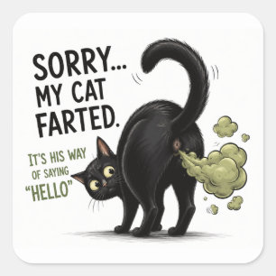 Sorry My Cat Farted Funny Black Cat Humor Square Sticker