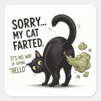 Sorry My Cat Farted Funny Black Cat Humor Square Sticker
