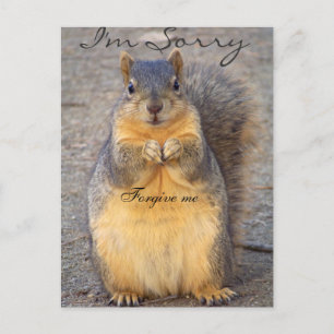 Sorry_ Postcard