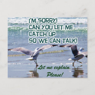 Sorry_ Postcard