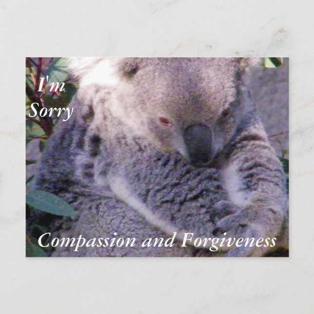Sorry_Postcard Postcard (Front)