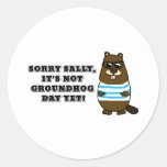 Sorry Sally, It's not Groundhog Day Yet! Sticker