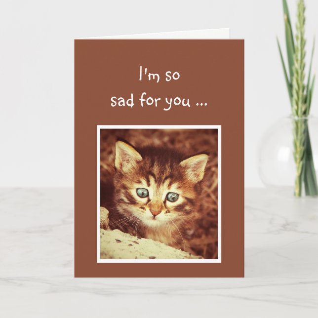 Sorry so Sad for You Encouraging Kitten Animal Card (Front)