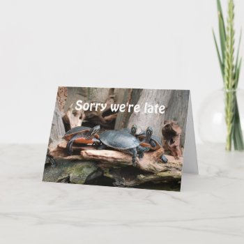 Sorry We're Late Turtles Birthday Greeting Card by CindyBeePhotography at Zazzle