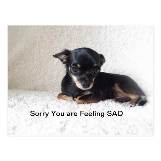 Sorry you are sad Postcard | Zazzle