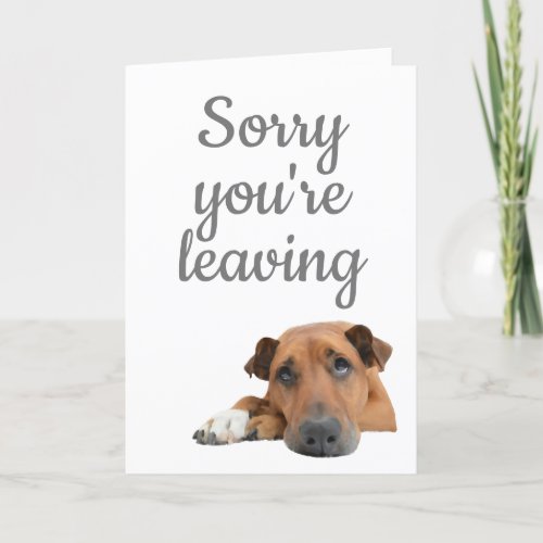 Sorry youre leaving sad dog blank card