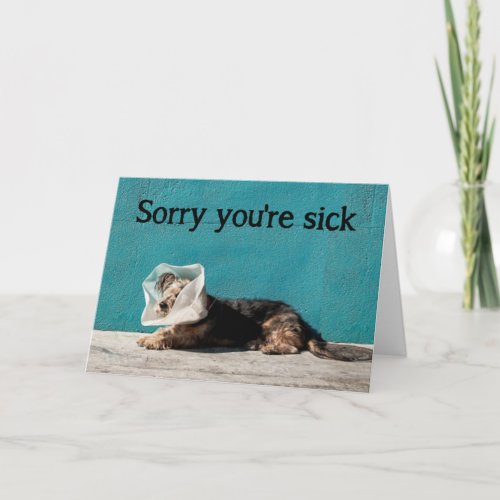 Sorry Youre Sick Cheer Up Fun Dog Get Well Card