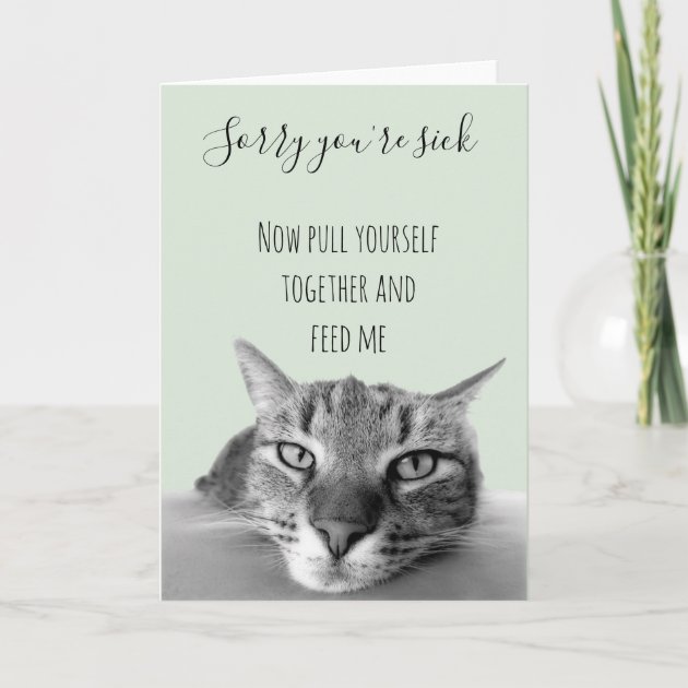 Healing Power Pet Sympathy Gifts Cat Funny Get Well Soon Card