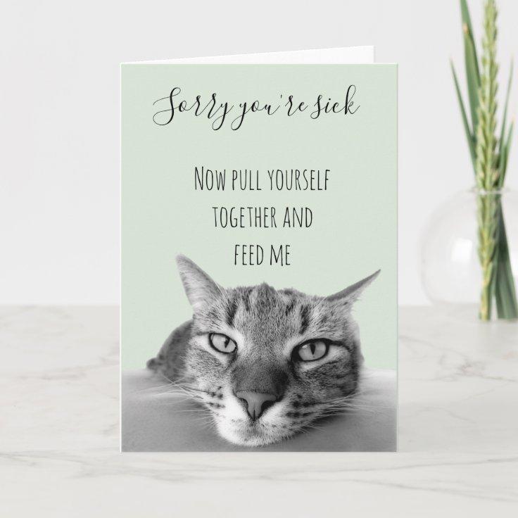 Sorry You're Sick Get Well Soon From Cat Humor Card | Zazzle