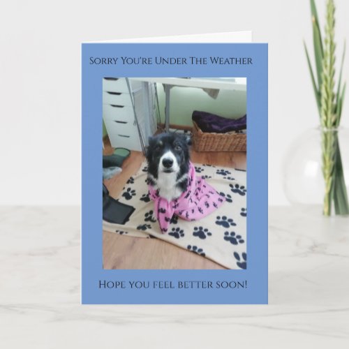 Sorry Youre Under The Weather quality Collie Card