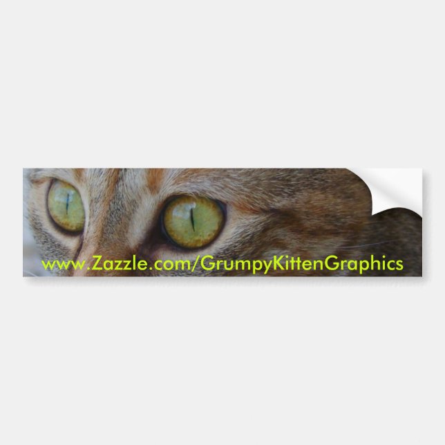 Sorsha's Eyes Bumpersticker Bumper Sticker (Front)