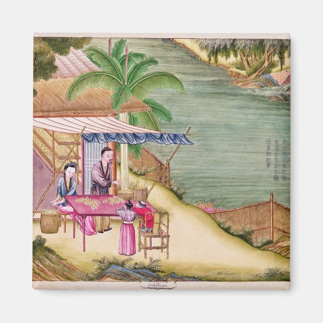 Sorting the Cocoons Magnet (Front)