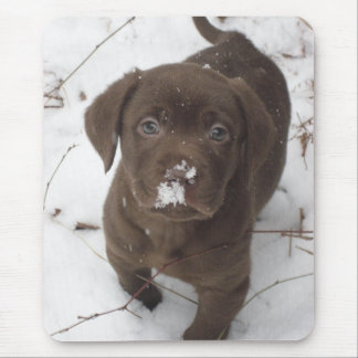 Sosa Lakota Mouse Pad