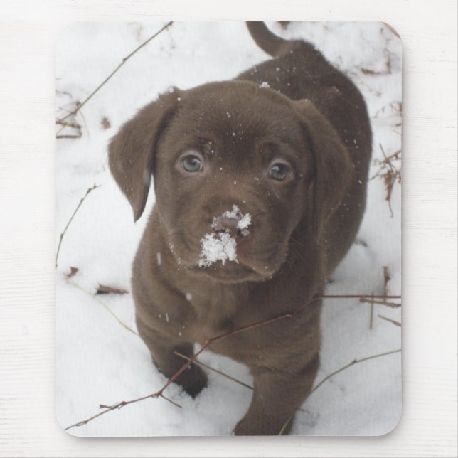 Sosa Lakota Mouse Pad (Front)