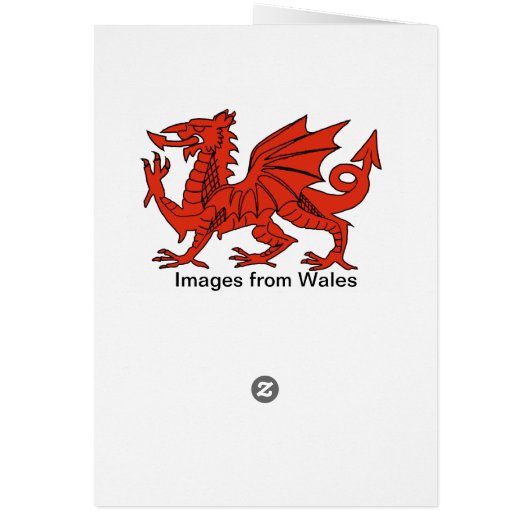 Sosban Fach Welsh Song (Back)