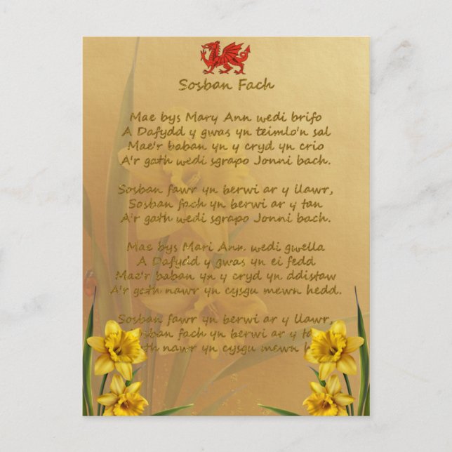 Sosban Fach Welsh Song Postcard (Front)