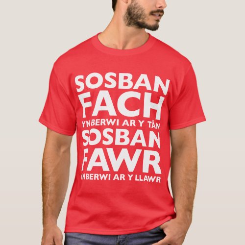 Sosban Fach Yn Berwi Ar Y Tan T_Shirt