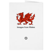 Sospan Fach Daffodil Decorated Cards (Back)