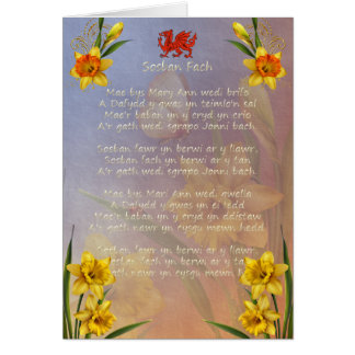 Sospan Fach Daffodil Decorated Cards