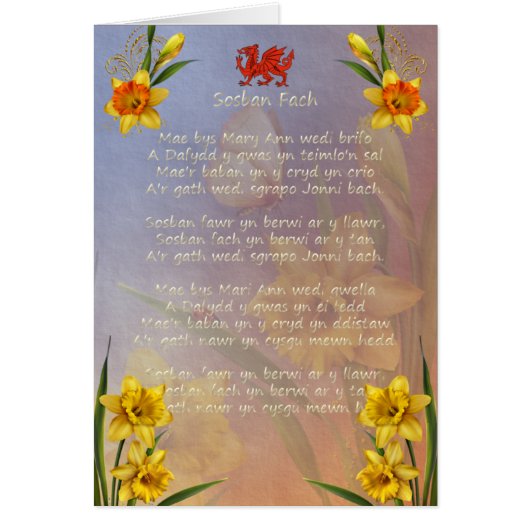 Sospan Fach Daffodil Decorated Cards (Front)