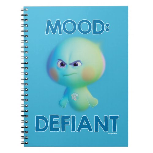 Soul  22 _ Mood Defiant Notebook