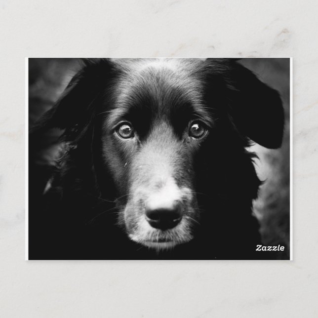 Soul Eyes Postcard (Back)