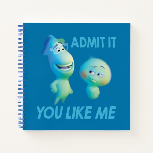 Soul  Joe  22 _ Admit It You Like Me Notebook