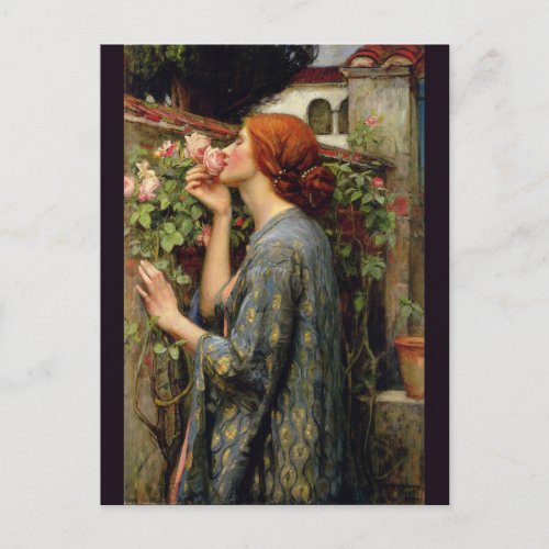 Soul of the Rose by John William Waterhouse Postcard