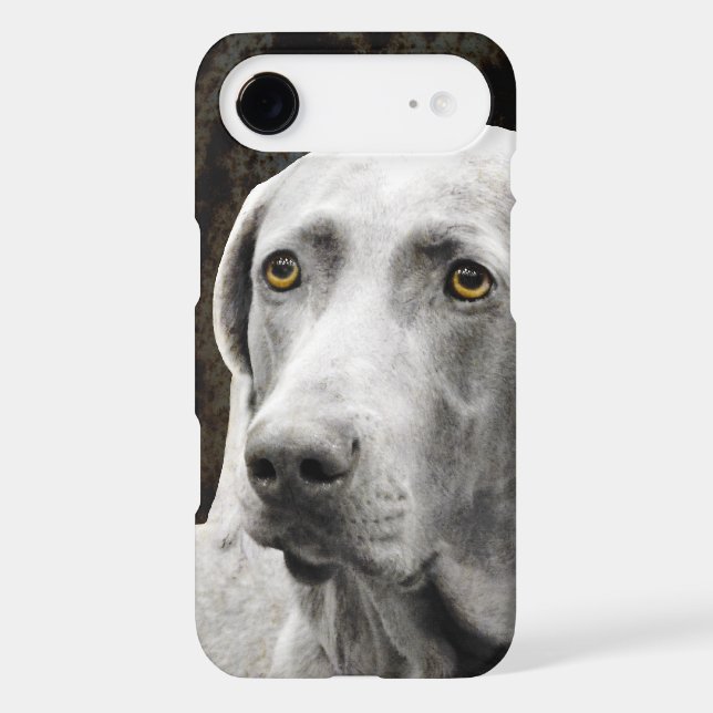 Soulful Eyes of the Weimaraner Case-Mate iPhone Case (Back)