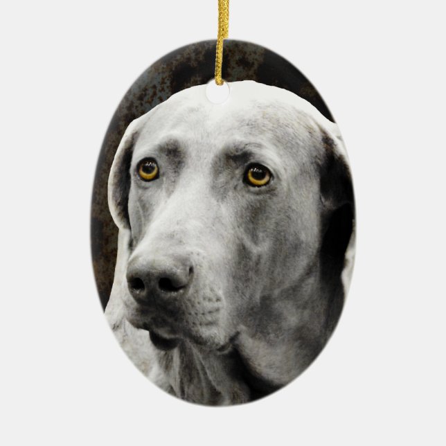 Soulful Eyes of the Weimaraner Ceramic Ornament (Front)