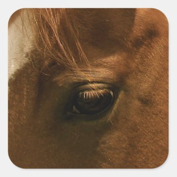 Soulful Horse Eye Square Sticker by PattiJAdkins at Zazzle