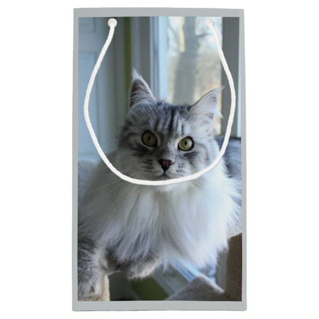 Soulful Silver Siberian Cat Gift Bag (Back)