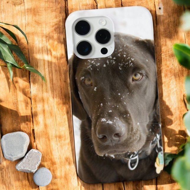 Soulful Snow Sprinkled Chocolate Labrador  Case-Ma Case-Mate iPhone Case (iPhone case back chocolate Labrador photo)