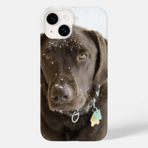 Soulful Snow Sprinkled Chocolate Labrador  Case_Mate iPhone 14 Case