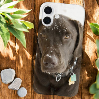 Soulful Snow Sprinkled Chocolate Labrador  iPhone 16 Plus Case