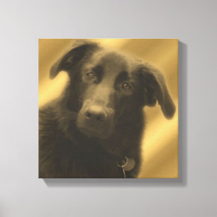 Soulful Wise Dog Eyes Animal Canvas Print