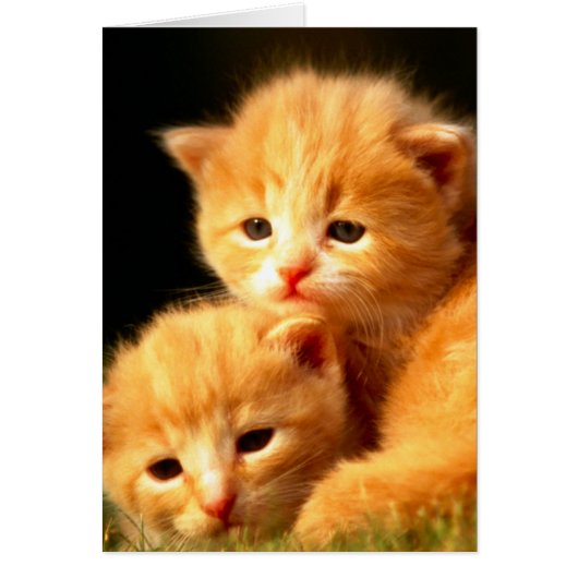 Soulmates Cards (Front)