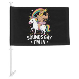Sounds Gay Im In  Car Flag
