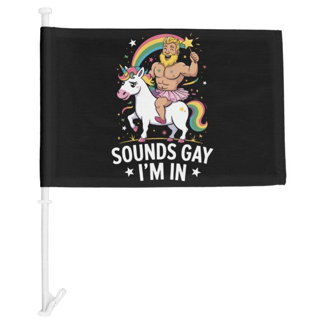 Sounds Gay Im In  Car Flag (Front)