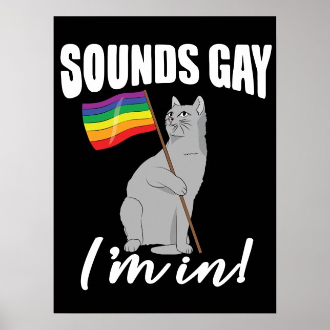 Sounds Gay I'm In Cat Poster (Front)