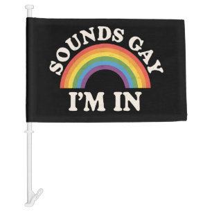 Sounds Gay I'm In Funny LGBTQ Pride Rainbow Car Flag